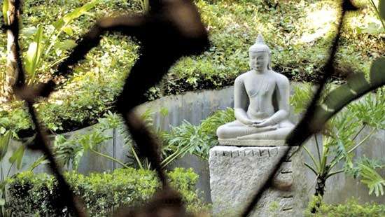 Buddhism and gardening