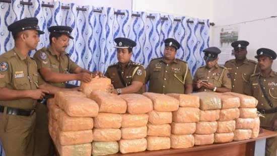 One arrested with over 200kg of Kerala cannabis