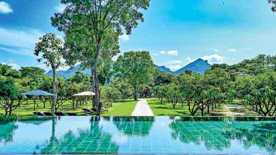 Chandra Wickramasinghe  marks Golden Jubilee in tourism