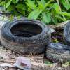 Over 4,600 cases filed over mosquito breeding sites so far in 2026