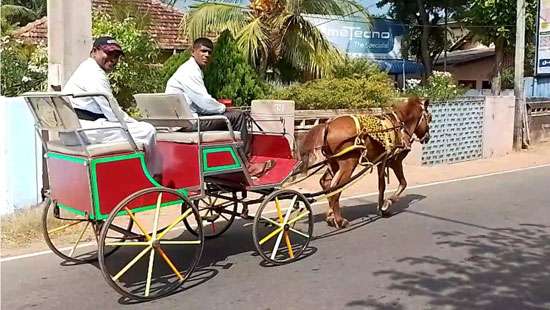 Horse carriages in Jaffna