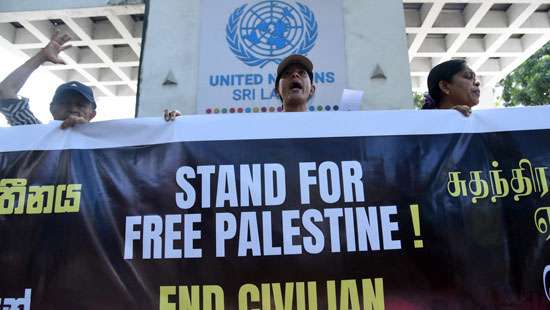 Stand for free Palestine!