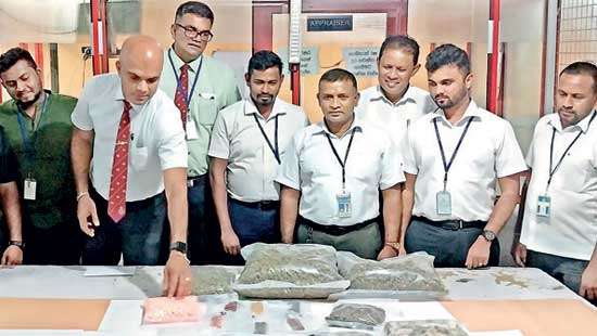 Customs seize largest ‘Magic Mushroom’ haul in history worth Rs.70Mn