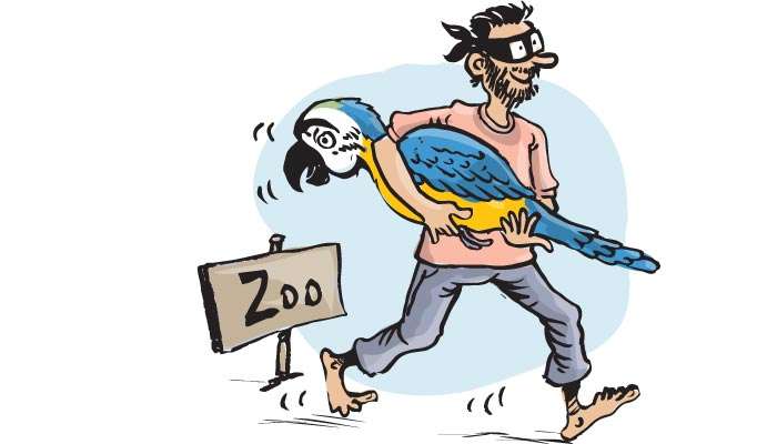 Exotic Beauty kidnapped from Zoo