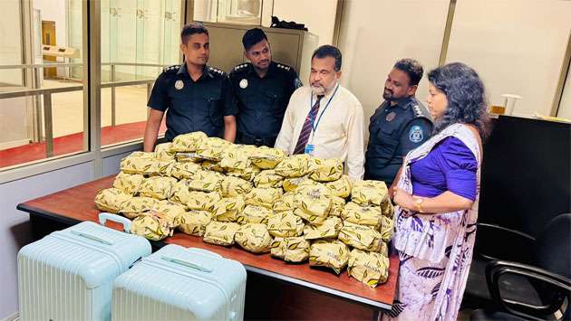 Chinese passenger nabbed at BIA for smuggling protected Kothalahimbutu