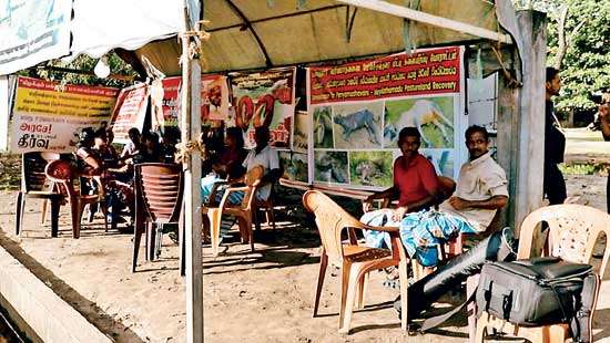 Plight of Mailaththamadu  dairy farmers worsens