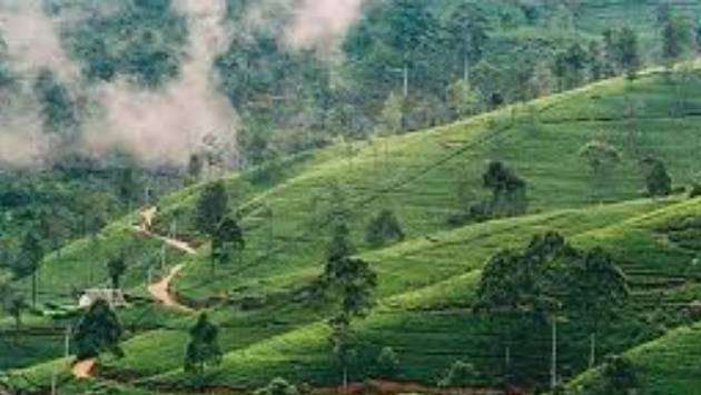 Sharp temperature contrast across island as Nuwara Eliya drops to 7.8°C