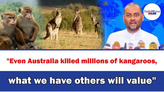 ’’Even Australia killed millions of kangaroos, what we have others will value’’