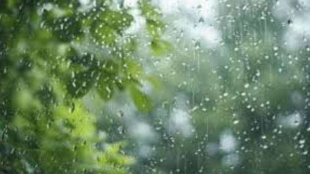 Rainfall expected to decrease from tomorrow: Met. Department