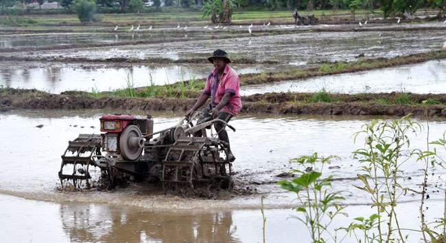Yala season farming in Colombo