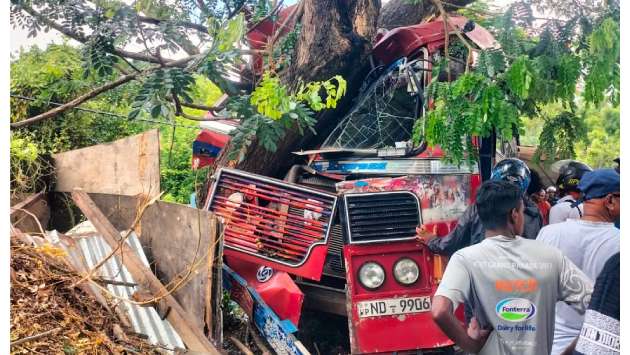 Bus crashes against wayside tree, 21 injured