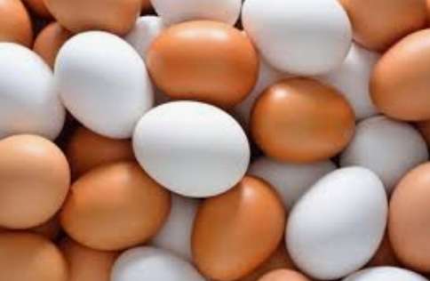 Importing eggs temporarily can bring prices down to Rs.30: Bakery Owners