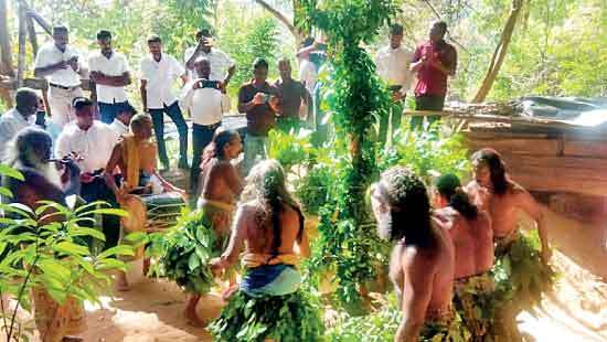 Nilgala Forest declared protected reserve on International Environment Day