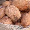 Mobile coconut sale from today at Rs. 100-120 each