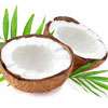 Half a coconut selling at Rs. 120