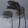 Strong wind advisory issued for several areas