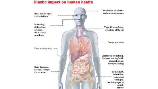 Here’s how plastic could affect your health