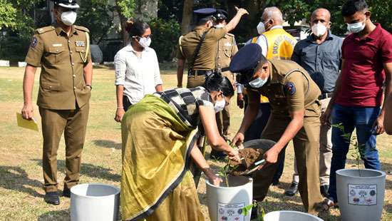 One million tree planting program launched