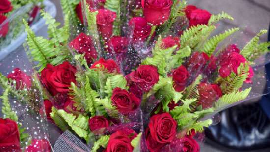 The price of a fresh red rose reduced to Rs.300 on Valentine’s Day