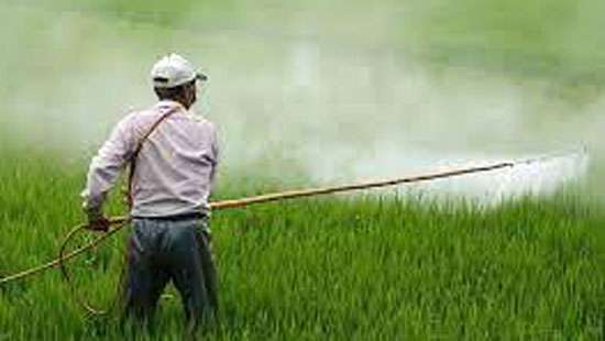 Permission granted to import Glyphosate