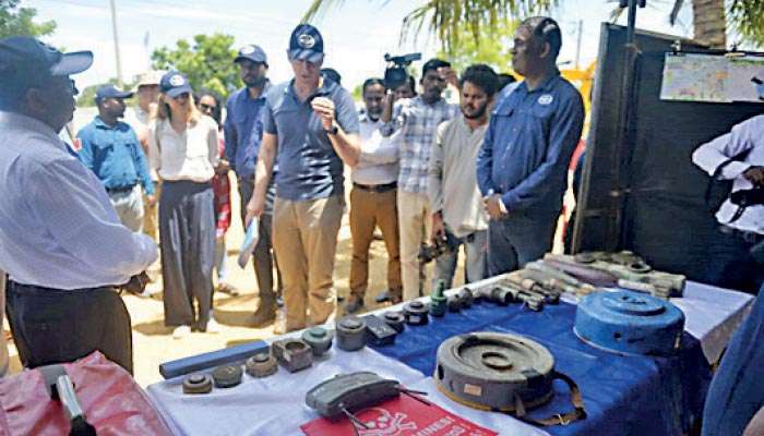 HALO Trust completes landmine clearance in Northern Muhamalai