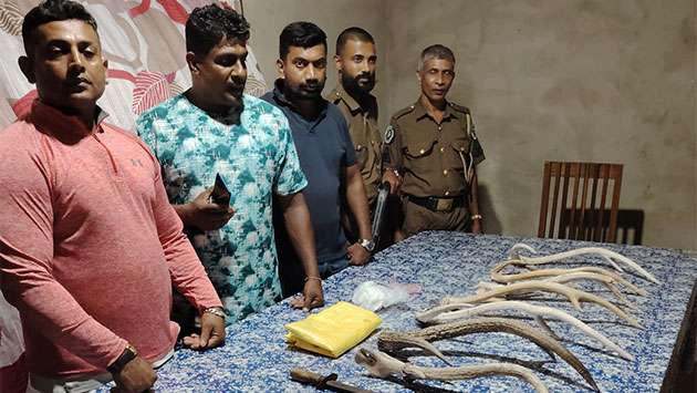 Two arrested with protected animal parts in Kuruwita raid - Breaking News