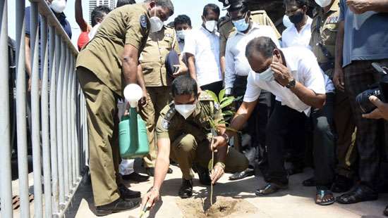 Tree planting programme in Fort & Pettah