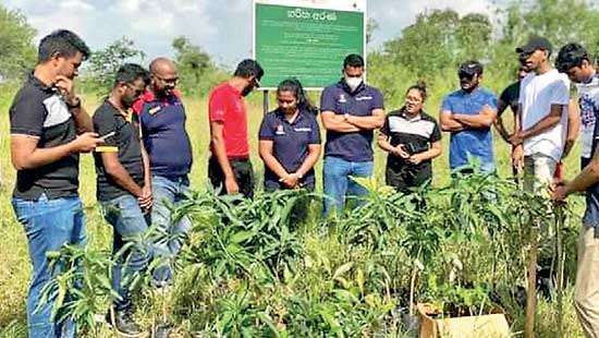 ‘Haritha Arana’ – A Model Reforestation Initiative by the Rotaract Club of Colombo Mid Town