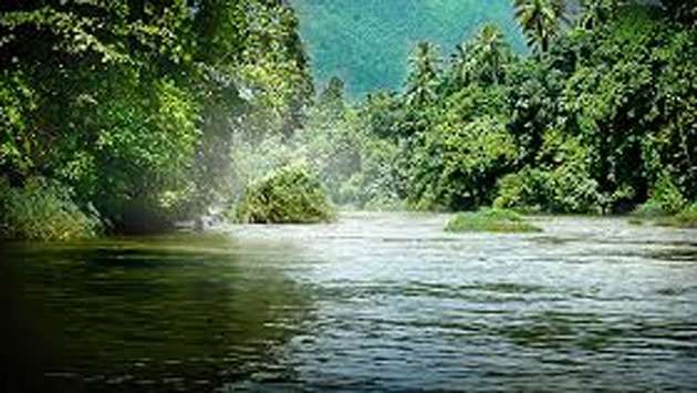 Thousands of fish in Kelani River dying