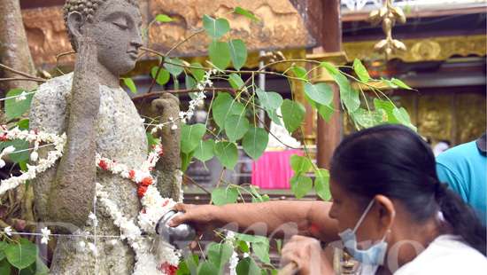 Seeking blessings on Binara Poya Day