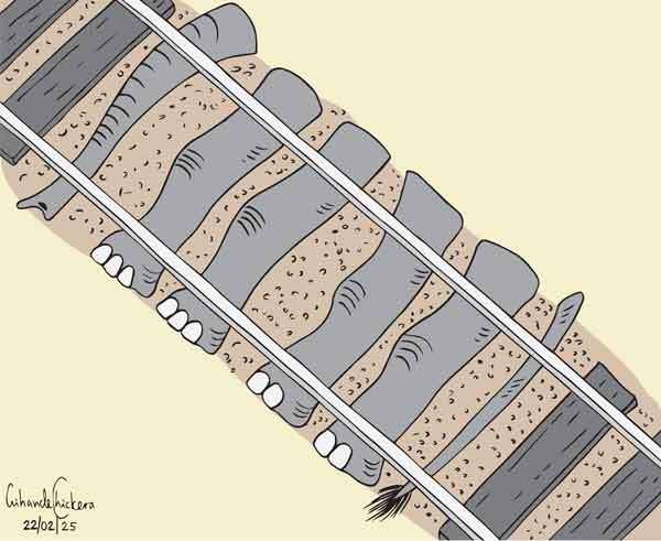 Cartoon of the Day 22-02-2025