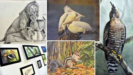 ’Young Eye on Nature’ exhibition