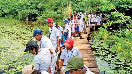 Dilmah Tea Celebrates World Wetlands Day 2025  at Beddagana Wetland Park