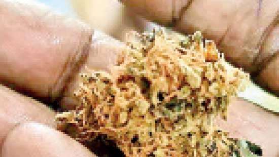 Customs, PNB, Postal joint effort seize Rs.85Mn worth Hashish at CME