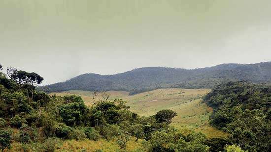 Reopening Nonpareil  road to Horton plains  would endanger wildlife