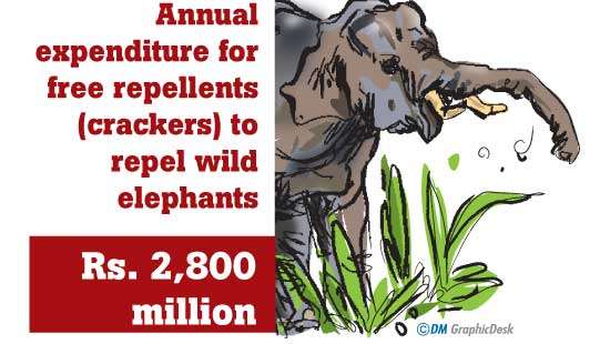 Govt. spends Rs.2,800 Mn. annually on elephant repellents