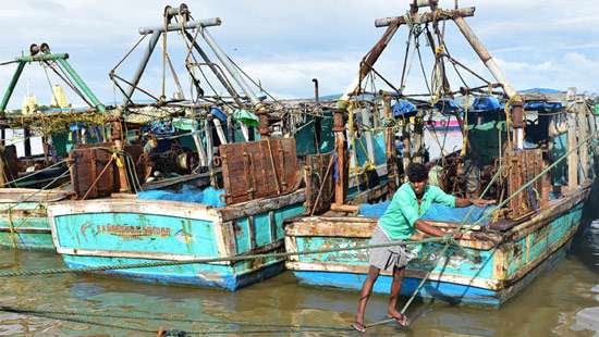 Indo - Lanka fisheries crisis License system for fishing in SL waters, Minister refuses bottom  trawling