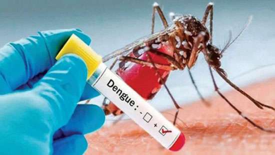 Dengue caseload crosses 35,000 mark