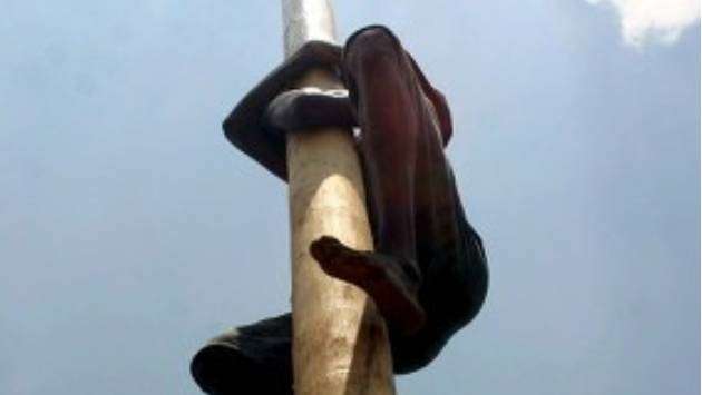 Student dies after falling from greasy pole