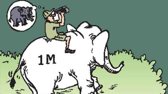 A million rupees spent looking for ‘Sumedha’, but yet to be found