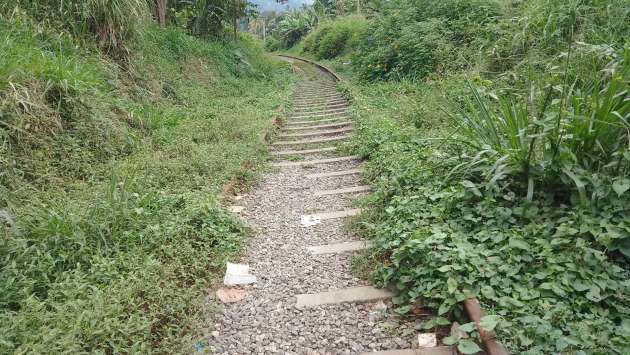 Section of main line tracks overgrown since cyclone