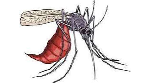 Sri Lanka’s dengue battle at a crossroads