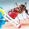 Dengue surge alarms authorities as cases jump by up to 40%