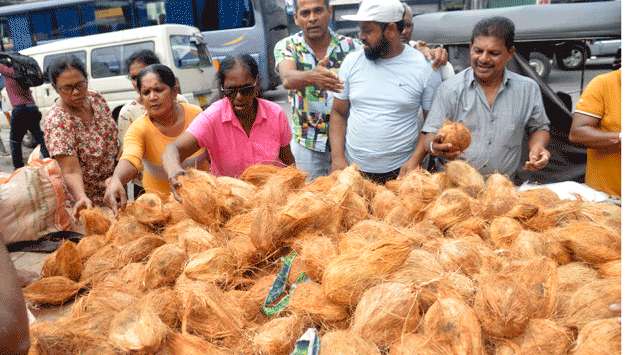 Coconuts at Rs.120 each