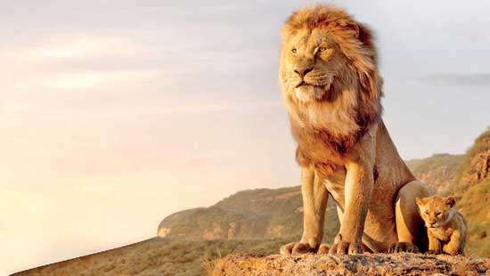The Lion King gets a resounding two paws up