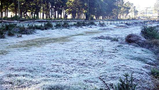 ​Ground frost possible in N’Eliya early morning: Met. Dept
