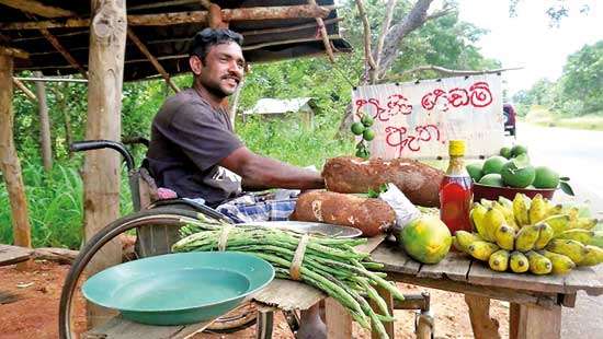 Couple overcome hardships  with organic cultivation business