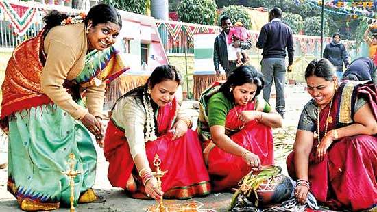 Nature and Pongal: Festivals go together