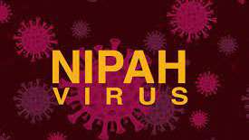 Take immediate steps to prevent Nipah virus entering country: Amaraweera advises DAPH