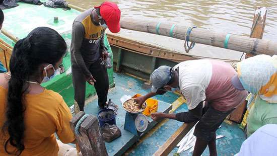 Fish from boats...